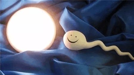 供卵代怀包男孩
